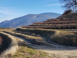  <a style='color: #fff;' href='/uploaded/photo/entrechaux-toulourenc-61f3eac7ce640.jpg'>(Télécharger)</a>