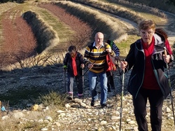  <a style='color: #fff;' href='/uploaded/photo/entrechaux-toulourenc-61f3eac8a49ab.jpg'>(Télécharger)</a>