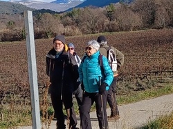  <a style='color: #fff;' href='/uploaded/photo/faucon-63ca7cb6b0367.jpg'>(Télécharger)</a>