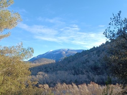  <a style='color: #fff;' href='/uploaded/photo/faucon-63ca7cb6ce95f.jpg'>(Télécharger)</a>