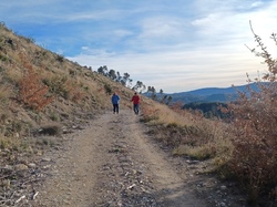  <a style='color: #fff;' href='/uploaded/photo/faucon-63ca7cb6d0a9a.jpg'>(Télécharger)</a>