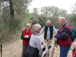  <a style='color: #fff;' href='/uploaded/photo/faucon-chapelle-ste-colombe-67d3068c1524e.jpg'>(Télécharger)</a>