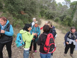  <a style='color: #fff;' href='/uploaded/photo/faucon-chapelle-ste-colombe-67d3068d68bf2.jpg'>(Télécharger)</a>