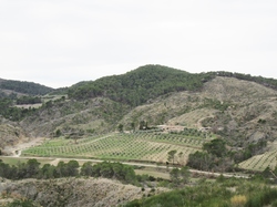  <a style='color: #fff;' href='/uploaded/photo/faucon-chapelle-ste-colombe-67d3068dcc8cb.jpg'>(Télécharger)</a>