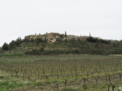  <a style='color: #fff;' href='/uploaded/photo/faucon-chapelle-ste-colombe-67d3068e4d63d.jpg'>(Télécharger)</a>