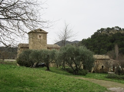  <a style='color: #fff;' href='/uploaded/photo/faucon-chapelle-ste-colombe-67d3068f51f62.jpg'>(Télécharger)</a>