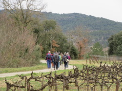  <a style='color: #fff;' href='/uploaded/photo/faucon-chapelle-ste-colombe-67d3068fa3b79.jpg'>(Télécharger)</a>