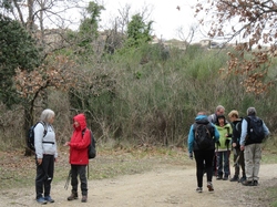  <a style='color: #fff;' href='/uploaded/photo/faucon-chapelle-ste-colombe-67d306903a186.jpg'>(Télécharger)</a>