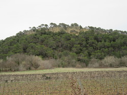  <a style='color: #fff;' href='/uploaded/photo/faucon-chapelle-ste-colombe-67d30690d25fe.jpg'>(Télécharger)</a>