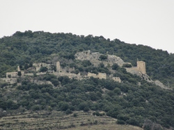  <a style='color: #fff;' href='/uploaded/photo/faucon-chapelle-ste-colombe-67d306919fdb1.jpg'>(Télécharger)</a>