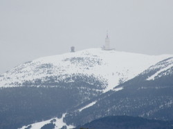  <a style='color: #fff;' href='/uploaded/photo/faucon-chapelle-ste-colombe-67d306929dd5c.jpg'>(Télécharger)</a>