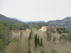  <a style='color: #fff;' href='/uploaded/photo/faucon-chapelle-ste-colombe-67d30693e0855.jpg'>(Télécharger)</a>