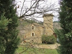  <a style='color: #fff;' href='/uploaded/photo/faucon-chapelle-ste-colombe-67d30696f2238.jpg'>(Télécharger)</a>