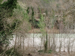  <a style='color: #fff;' href='/uploaded/photo/faucon-chapelle-ste-colombe-67d306971c9ea.jpg'>(Télécharger)</a>