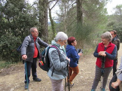  <a style='color: #fff;' href='/uploaded/photo/faucon-chapelle-ste-colombe-67d306972f495.jpg'>(Télécharger)</a>