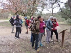  <a style='color: #fff;' href='/uploaded/photo/faucon-chapelle-ste-colombe-67d3069764468.jpg'>(Télécharger)</a>