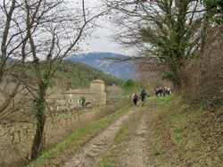  <a style='color: #fff;' href='/uploaded/photo/faucon-chapelle-ste-colombe-67d3069775774.jpg'>(Télécharger)</a>