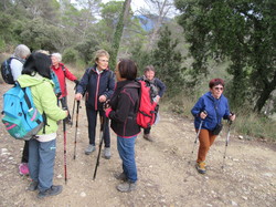  <a style='color: #fff;' href='/uploaded/photo/faucon-chapelle-ste-colombe-67d3069790976.jpg'>(Télécharger)</a>