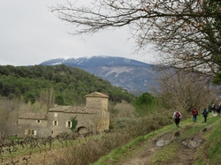  <a style='color: #fff;' href='/uploaded/photo/faucon-chapelle-ste-colombe-67d30698de6df.jpg'>(Télécharger)</a>