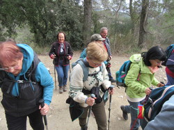  <a style='color: #fff;' href='/uploaded/photo/faucon-chapelle-ste-colombe-67d3069956b5d.jpg'>(Télécharger)</a>