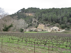  <a style='color: #fff;' href='/uploaded/photo/faucon-chapelle-ste-colombe-67d30699d71df.jpg'>(Télécharger)</a>