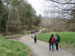  <a style='color: #fff;' href='/uploaded/photo/faucon-chapelle-ste-colombe-67d3069a1984e.jpg'>(Télécharger)</a>