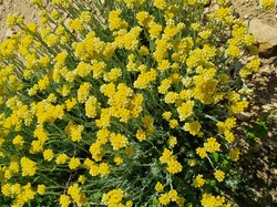  <a style='color: #fff;' href='/uploaded/photo/forteresse-de-mornas-681ce3fec555c.jpg'>(Télécharger)</a>