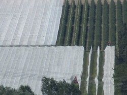  <a style='color: #fff;' href='/uploaded/photo/forteresse-de-mornas-681e2c5dabd02.jpg'>(Télécharger)</a>