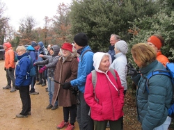  <a style='color: #fff;' href='/uploaded/photo/galette-des-rois-y-la-cabane-des-chasseurs-65a02c310ca1e.jpg'>(Télécharger)</a>