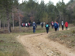  <a style='color: #fff;' href='/uploaded/photo/galette-des-rois-y-la-cabane-des-chasseurs-65a02c33c1e97.jpg'>(Télécharger)</a>