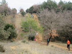  <a style='color: #fff;' href='/uploaded/photo/galette-des-rois-y-la-cabane-des-chasseurs-65a02c3f9e2bb.jpg'>(Télécharger)</a>