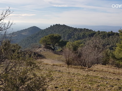  <a style='color: #fff;' href='/uploaded/photo/gigondas-6027a3e533b35.jpg'>(Télécharger)</a>