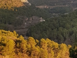  <a style='color: #fff;' href='/uploaded/photo/gigondas-6027a3e8ab471.jpg'>(Télécharger)</a>