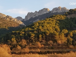  <a style='color: #fff;' href='/uploaded/photo/gigondas-6027a3e984d71.jpg'>(Télécharger)</a>