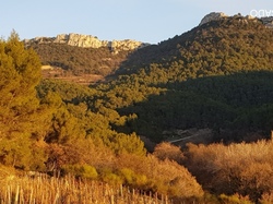  <a style='color: #fff;' href='/uploaded/photo/gigondas-6027a3e9cf101.jpg'>(Télécharger)</a>