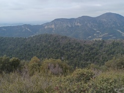  <a style='color: #fff;' href='/uploaded/photo/hauteurs-de-piegon-641cad4cf1f92.jpg'>(Télécharger)</a>