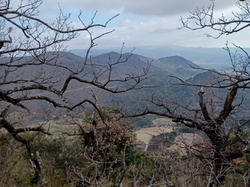  <a style='color: #fff;' href='/uploaded/photo/hauteurs-de-piegon-641cad5043385.jpg'>(Télécharger)</a>