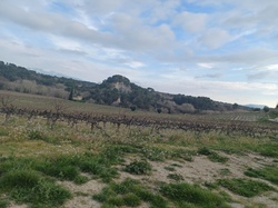  <a style='color: #fff;' href='/uploaded/photo/hauteurs-de-piegon-641cad50b5bfa.jpg'>(Télécharger)</a>