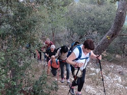  <a style='color: #fff;' href='/uploaded/photo/hauteurs-de-piegon-641cad5495255.jpg'>(Télécharger)</a>