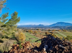  <a style='color: #fff;' href='/uploaded/photo/hauts-de-roaix-67489be307a8a.jpg'>(Télécharger)</a>