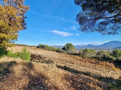  <a style='color: #fff;' href='/uploaded/photo/hauts-de-roaix-67489c4ca13a6.jpg'>(Télécharger)</a>