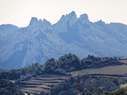  <a style='color: #fff;' href='/uploaded/photo/la-combe-de-freou-64138133eb2d2.jpg'>(Télécharger)</a>