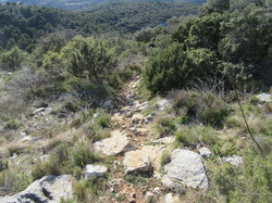  <a style='color: #fff;' href='/uploaded/photo/la-combe-de-freou-64138167a0a7c.jpg'>(Télécharger)</a>