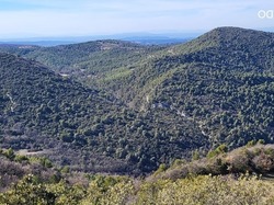  <a style='color: #fff;' href='/uploaded/photo/la-combe-de-freou-6416d107192fd.jpg'>(Télécharger)</a>