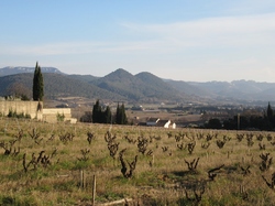  <a style='color: #fff;' href='/uploaded/photo/la-combe-des-amoureux-roaix-64010d3160fda.jpg'>(Télécharger)</a>