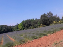  <a style='color: #fff;' href='/uploaded/photo/la-garde-adhy-mar-66620bb1856a4.jpg'>(Télécharger)</a>