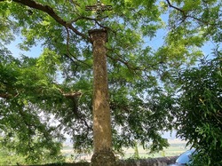  <a style='color: #fff;' href='/uploaded/photo/la-garde-adhy-mar-66620f71dbfa5.jpg'>(Télécharger)</a>