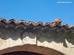  <a style='color: #fff;' href='/uploaded/photo/la-garde-adhy-mar-66620fe035dbe.jpg'>(Télécharger)</a>