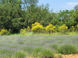  <a style='color: #fff;' href='/uploaded/photo/la-garde-adhy-mar-666211df4365d.jpg'>(Télécharger)</a>