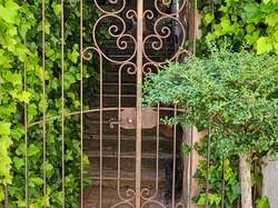  <a style='color: #fff;' href='/uploaded/photo/la-garde-adhy-mar-666211e0a132c.jpg'>(Télécharger)</a>